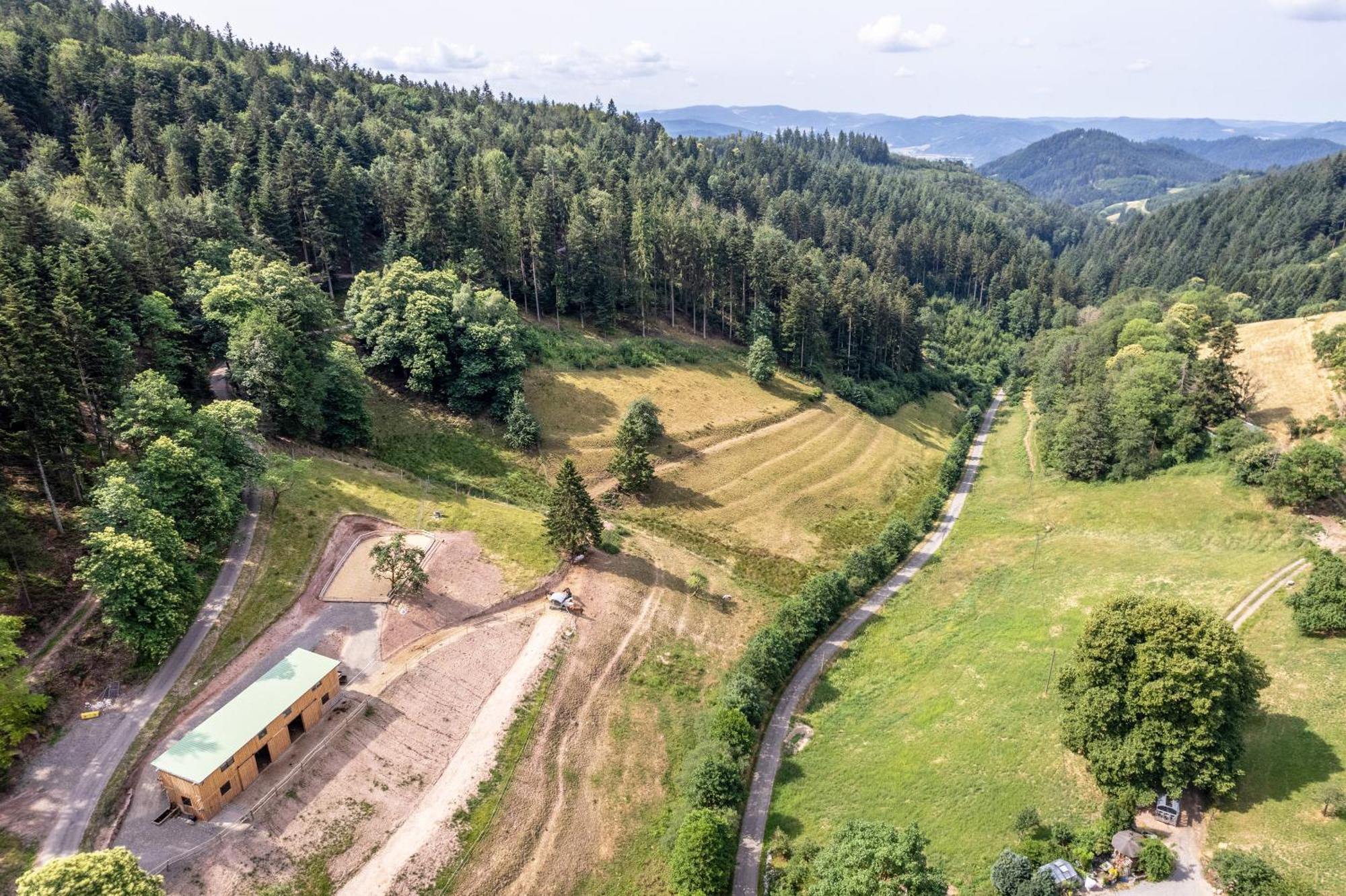 Ferienhaus Giessler Nordrach Екстериор снимка